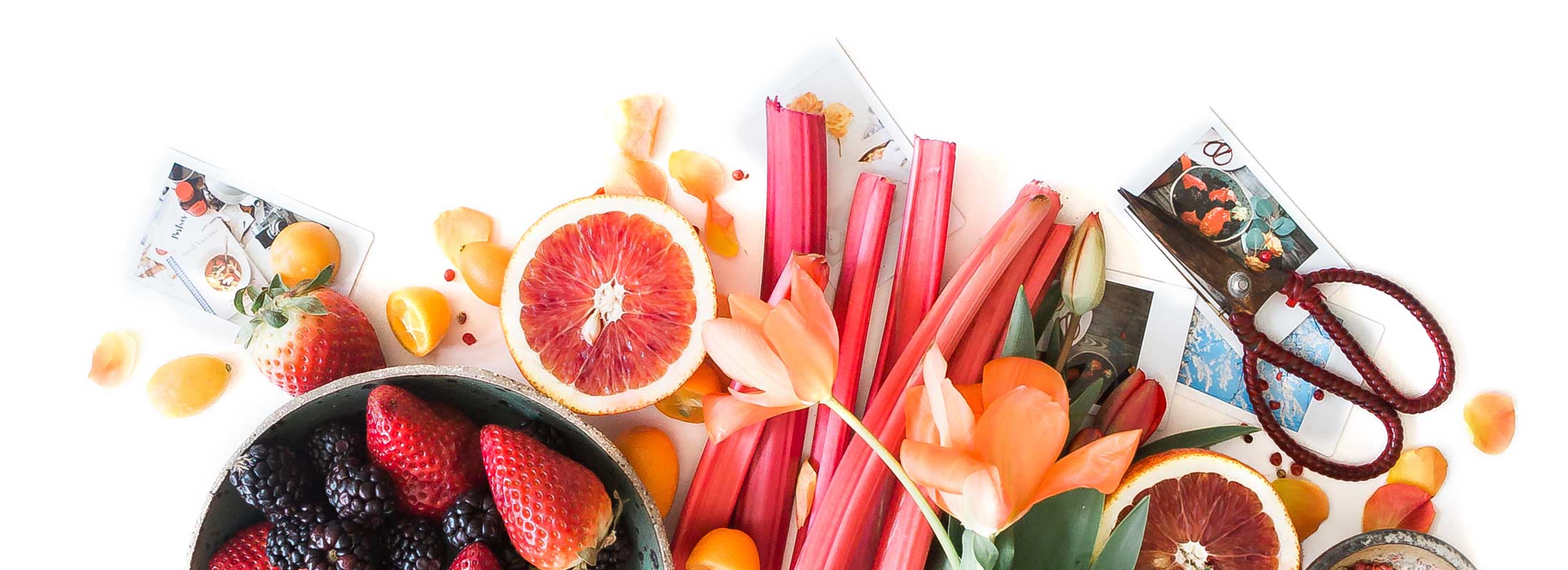 Floraplex - What Are Terpenes