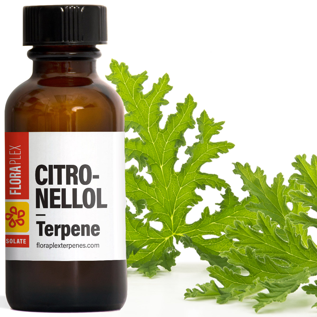 что такое биополировка. хлоранил структурная формула. формула цитронеллола. Dymatic. Citronellol.