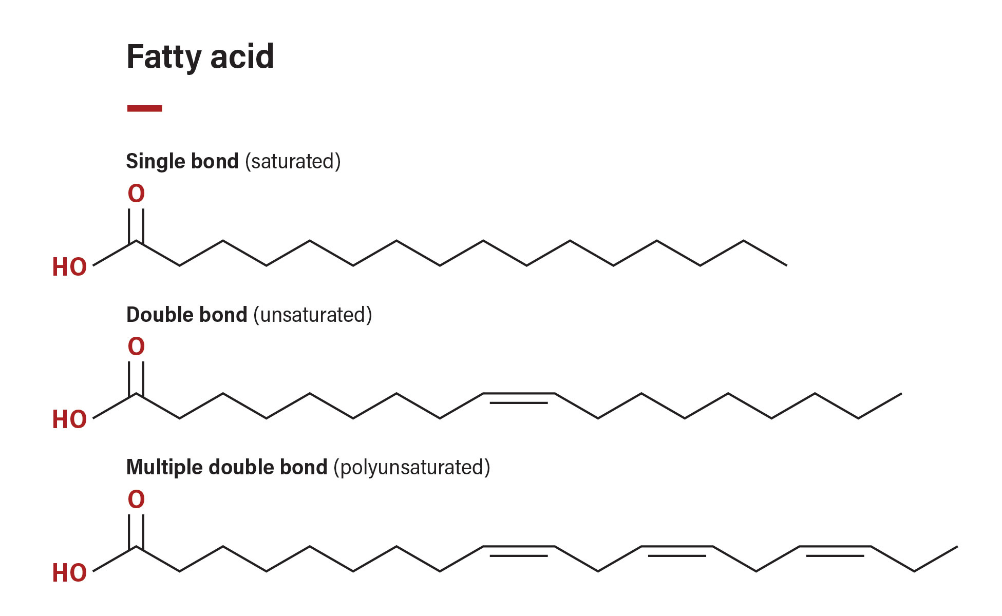 Floraplex Terpenes Lipids Fatty Acids