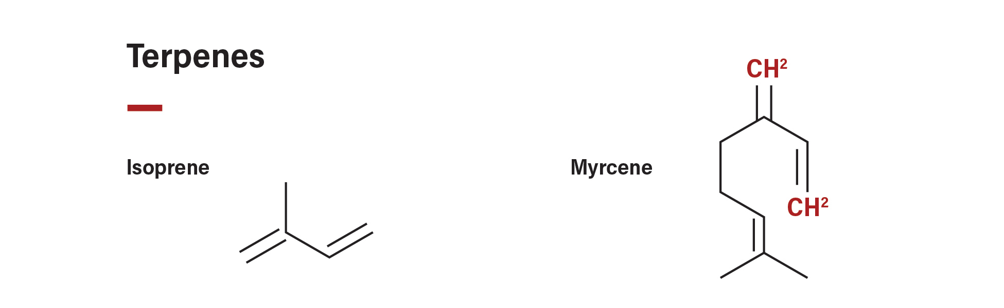 Floraplex Terpenes Lipids Isoprene